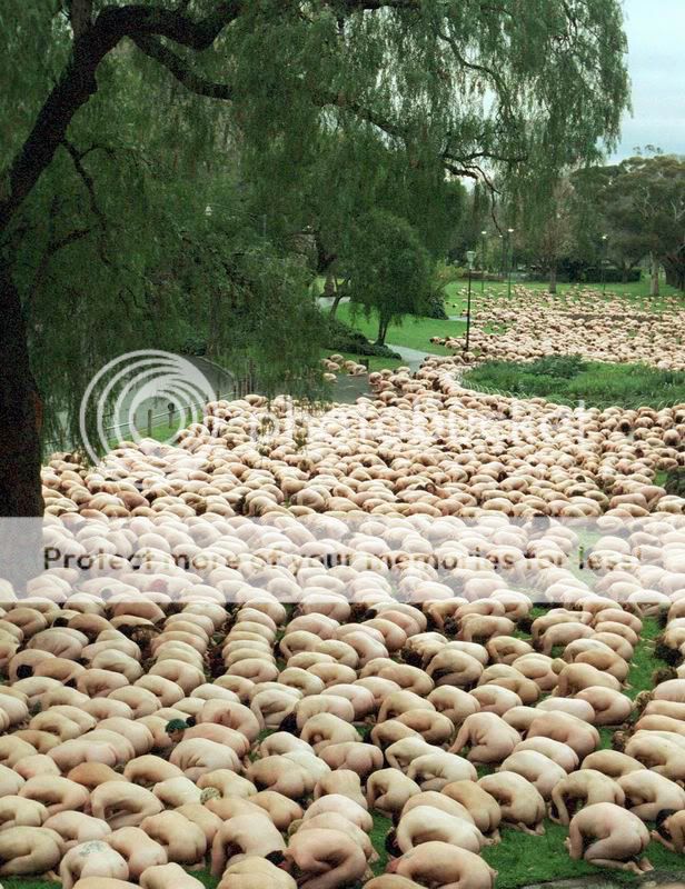 Red Tigress Lair | tBlog.